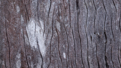 Obraz premium Aged Wood Texture Background Natural Surface Pattern
