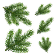 Obraz premium Set of realistic fir tree branches isolated on transparent background, perfect for adding a touch of nature to your designs and creating a festive atmosphere