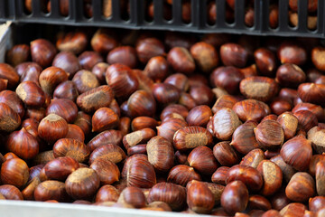 Fresh chestnuts waiting for roasting for autumnal street food