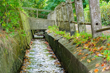 Water channel through mossy concrete walls in the forest of Ostseebad Flensburg
