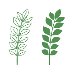 green leaves isolated on white background