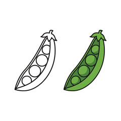 Green pea pod vector illustration and outline drawing for education