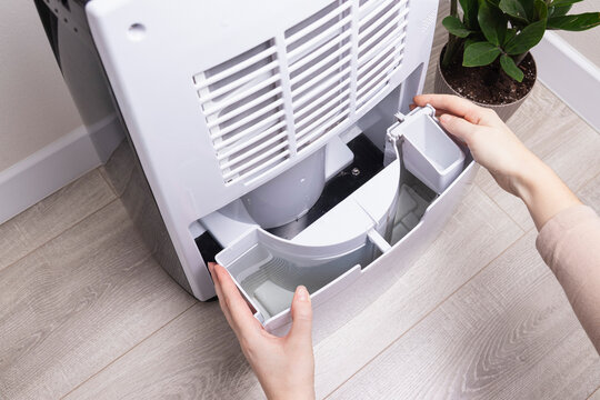 Woman removing full water tank from dehumidifier. Concept of humidity reduction, mold prevention, air drying. 