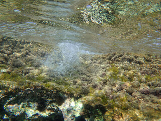 Ocean underwater rays of light background, under blue water sunlight. Underwater background, ocean or sea surface seen from under water. Rays of light beams, abstract marine backdrop. Nature landscape