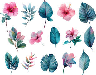 Botanical tropical flower and green leaves illustration
