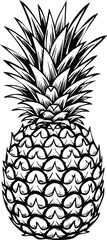 Black and white line art pineapple drawing vector illustration