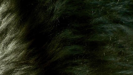 close-up texture of dense black animal fur showing individual fine hairs with glistening light reflections creating shimmering highlights soft shadows and a rich tactile depth in macro photography