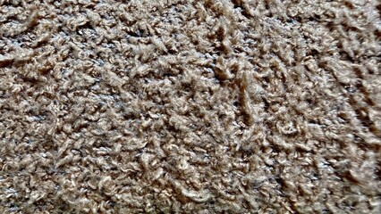 close-up macro texture of shaggy brown-beige carpet with long plush fuzzy fibers, dense soft pile, mixed tan and light brown strands, subtle tipped highlights and warm neutral tones