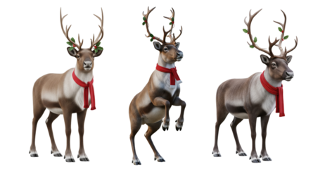 Set of reindeers with Christmas concepts isolated on white