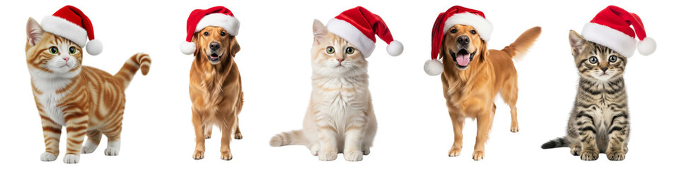 Set of dogs and cats wearing santa hat isolated on white