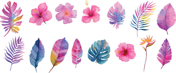 colorful tropical flower and green leaves illustration