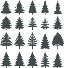A collection of twenty distinct silhouette icons representing various types of evergreen coniferous trees, such as pine, spruce, and fir