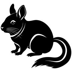 Black chinchilla silhouette with white accents black and white