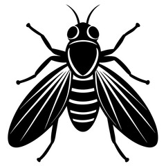 Black fly silhouette with striped abdomen and detailed wings