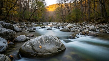 Serene River Flowing Through Autumnal Forest Landscape.