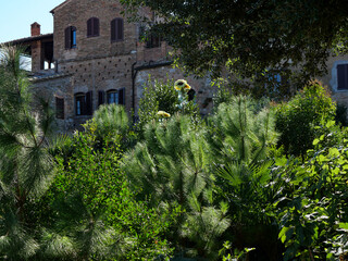 Naklejka premium Italie - San Gimignano - Toscane