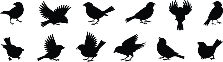 PrintA vector set of twelve detailed sparrow bird silhouettes in various poses including standing, flapping wings, and looking up, perfect for nature and wildlife designs.