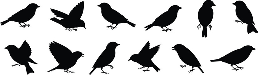 PrintA vector set of twelve detailed sparrow bird silhouettes in various poses including standing, flying, and singing, illustrating wildlife and avian nature elements.