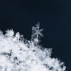 winter photo of snowflakes in the snow
