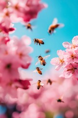 Springtime Harmony: Bees Pollinating Cherry Blossoms in Vivid Blue Sky
