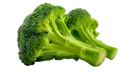 Two fresh broccoli florets, raw green vegetable pieces, a healthy organic food ingredient, nutritious vegetarian snacks, cut cabbage family stems close-up.