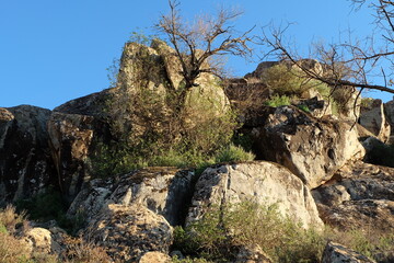 Beautiful mountain landscapes; rocky mountains; valleys; desert flora; blue skies;