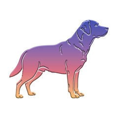 A colorful labrador retriever standing isolated on transparent background, showcasing its sleek silhouette and graceful posture in profile view