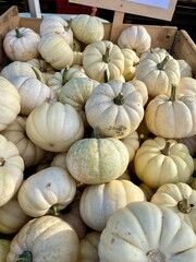 white pumpkins for sale at the market