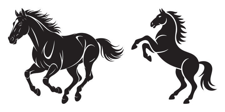 black horse vector illustration shillouette