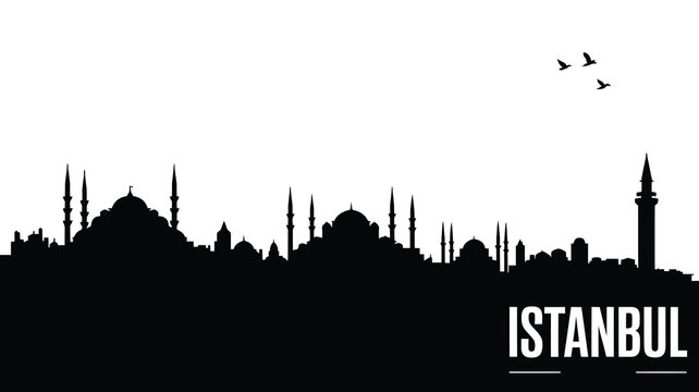 Iconic istanbul cityscape silhouette with birds flying
