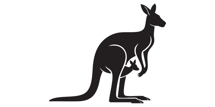 kangaroo vector illustration