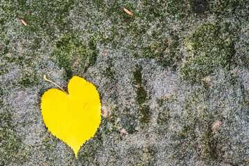 La feuille d'automne en forme de cœur