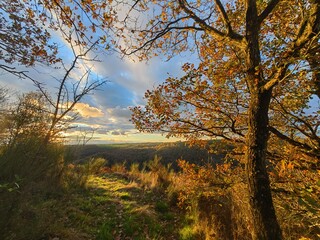 Wild fall Landscape in sunlight