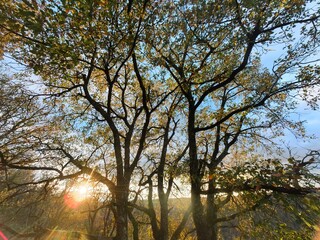 Wild fall Landscape in sunlight