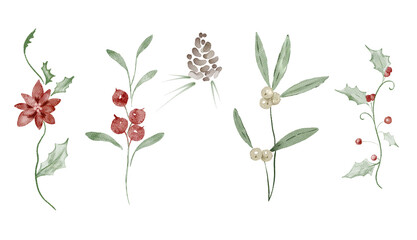 Watercolor set of a winter plants. Cozy winter design. Hand painted element for invitation, social media and posters.