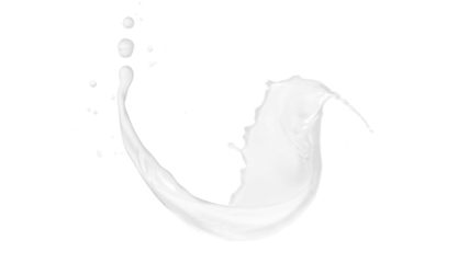 Milk Splash. PNG no Background. Ready to use graphic resource