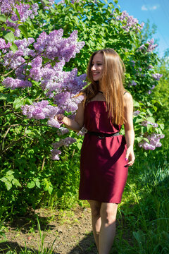 Young woman in a burgundy dress standing beside blooming lilac bush in natural spring setting