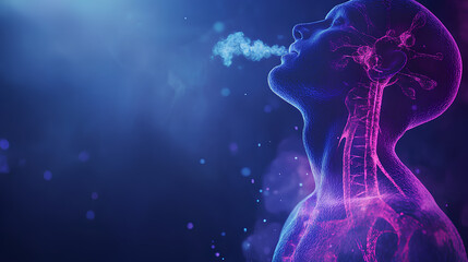 human respiratory system