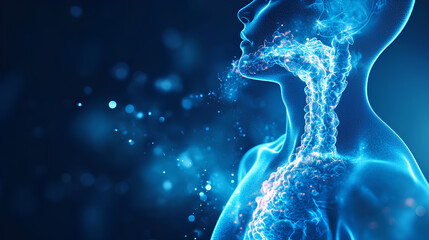 human respiratory system