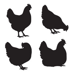 Hen silhouette vector