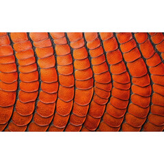Close up of orange reptile scales pattern isolated on transparent background