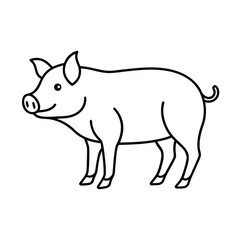 vector illustration of a pig