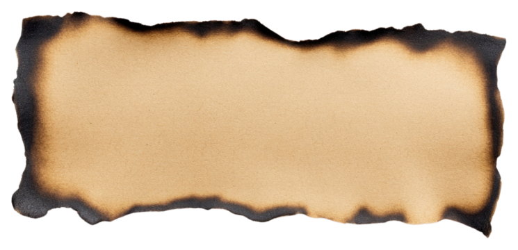 Torn strip of Kraft brown Paper price tag document diaper text.
