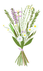 Fototapeta premium PNG Wildflower bouquet flowers art illustration.