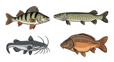 Collection of four distinct freshwater fish species commonly found in lakes and rivers.