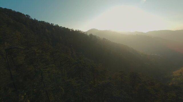 Beautiful drone view of Mountains & Forest during Golden Hour