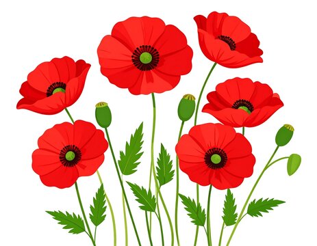 A vibrant digital illustration showcases a collection of vivid red flowers with dark centers and green stems and leaves, set against a blank white backdrop