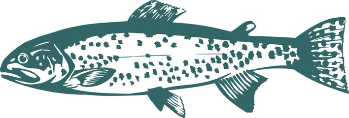 vector illustration of a fish