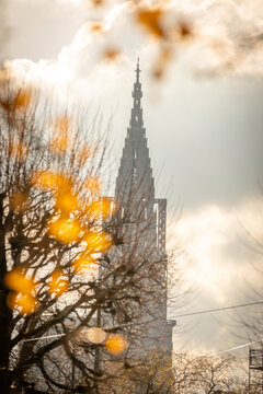 Cathedral of Strasbourg in fall in Strasbourg in France on november 22th 2025