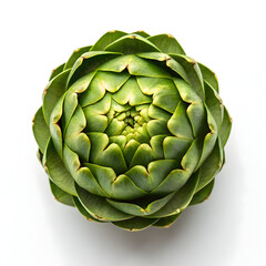 Fototapeta premium Fresh Green Artichoke Isolated on White Background